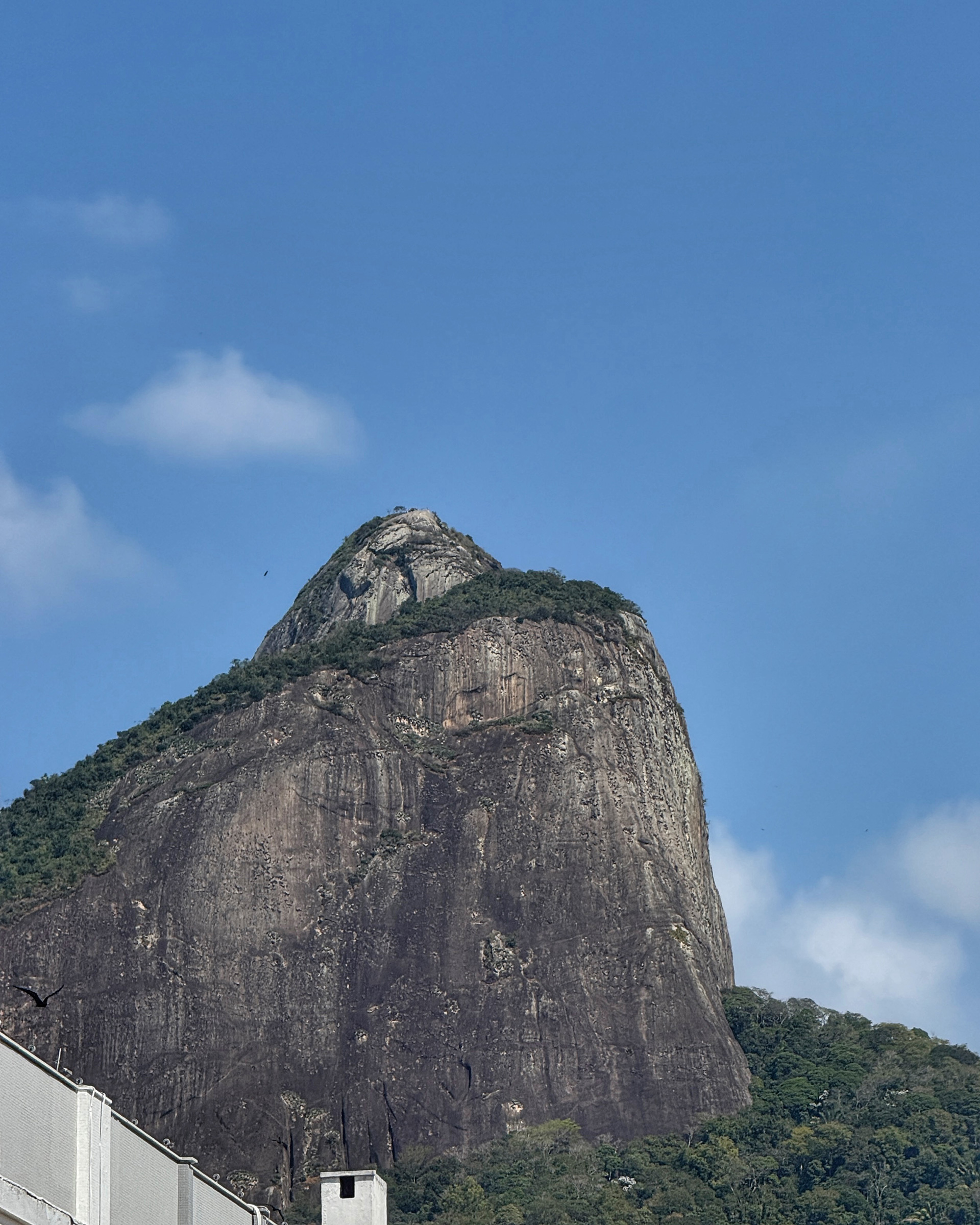 Vista para os Dois Irmãos